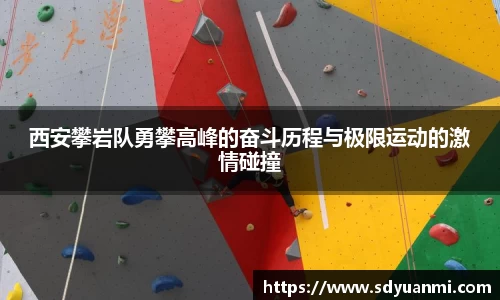 西安攀岩队勇攀高峰的奋斗历程与极限运动的激情碰撞