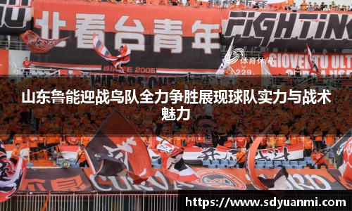 山东鲁能迎战鸟队全力争胜展现球队实力与战术魅力